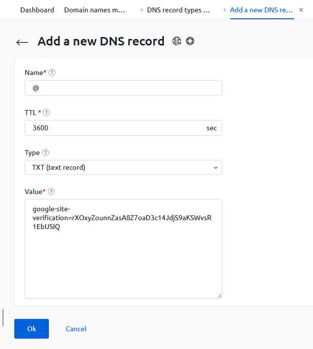 Добавление ресурсных записей к домену в DNS хостине - 6