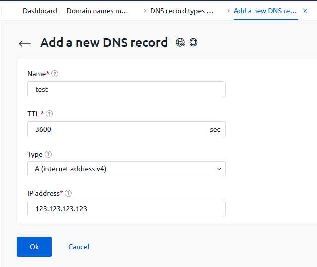 Добавление ресурсных записей к домену в DNS хостине - 5