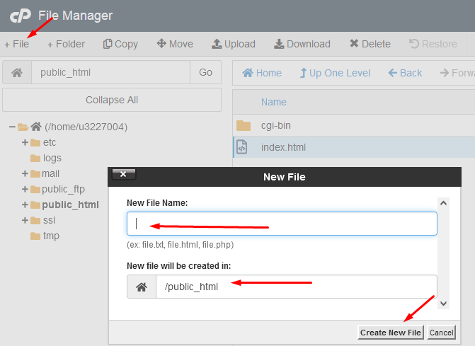 cPanel File Manager - 3