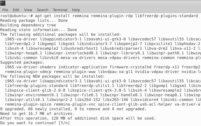 Подключение к серверу по протоколу RDP на Linux с помощью Remmina - 2