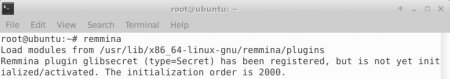Подключение к серверу по протоколу RDP на Linux с помощью Remmina - 3