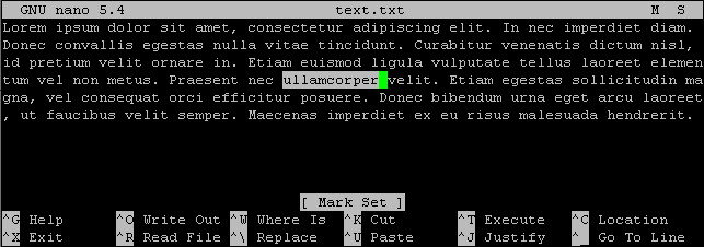 Nano text editor - 2