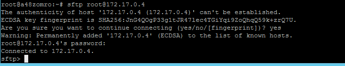 Jak połączyć się z kontenerem Docker za pomocą SFTP? - 6