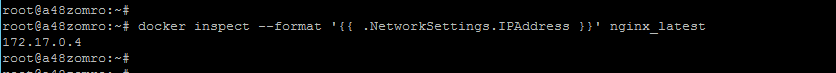 Jak połączyć się z kontenerem Docker za pomocą SFTP? - 5