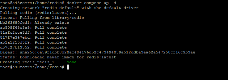 How to install Redis in Docker and Docker Compose - 3
