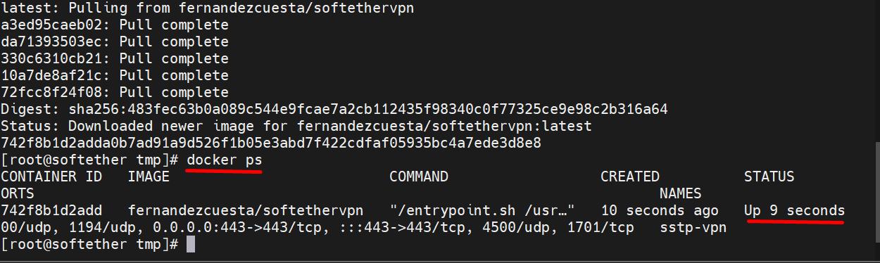 Как настроить SSTP VPN сервер через SoftEther VPN в Docker - 3