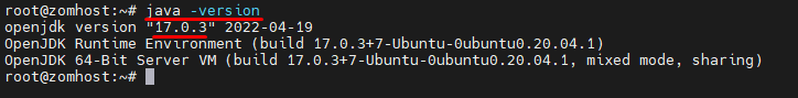 How to install Minecraft: Java Edition server on Ubuntu 20.04 - 1