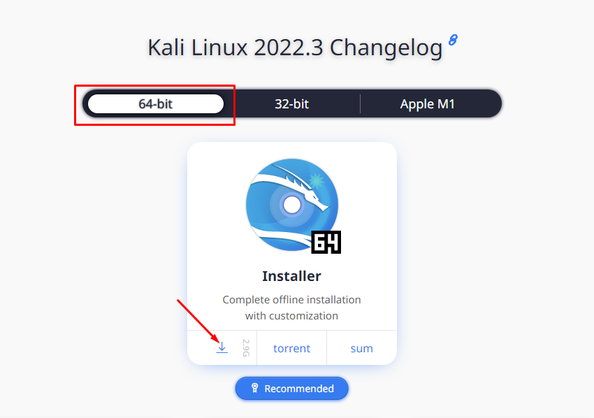 How to install Kali Linux on a virtual server (VPS/VDS) - 2
