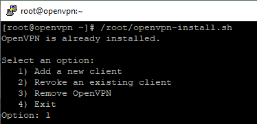 Connecting to OpenVPN - 7