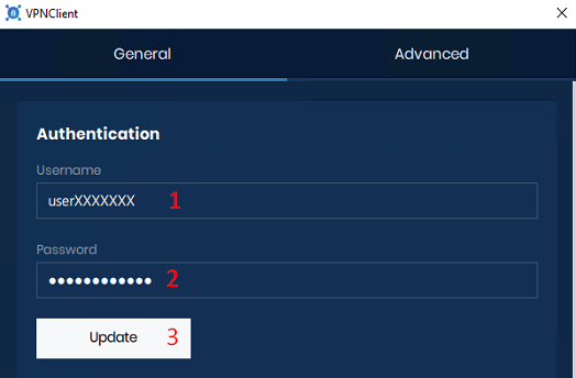 Using the VPN service - 3